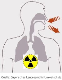 Radon wird ein- und ausgeatmet